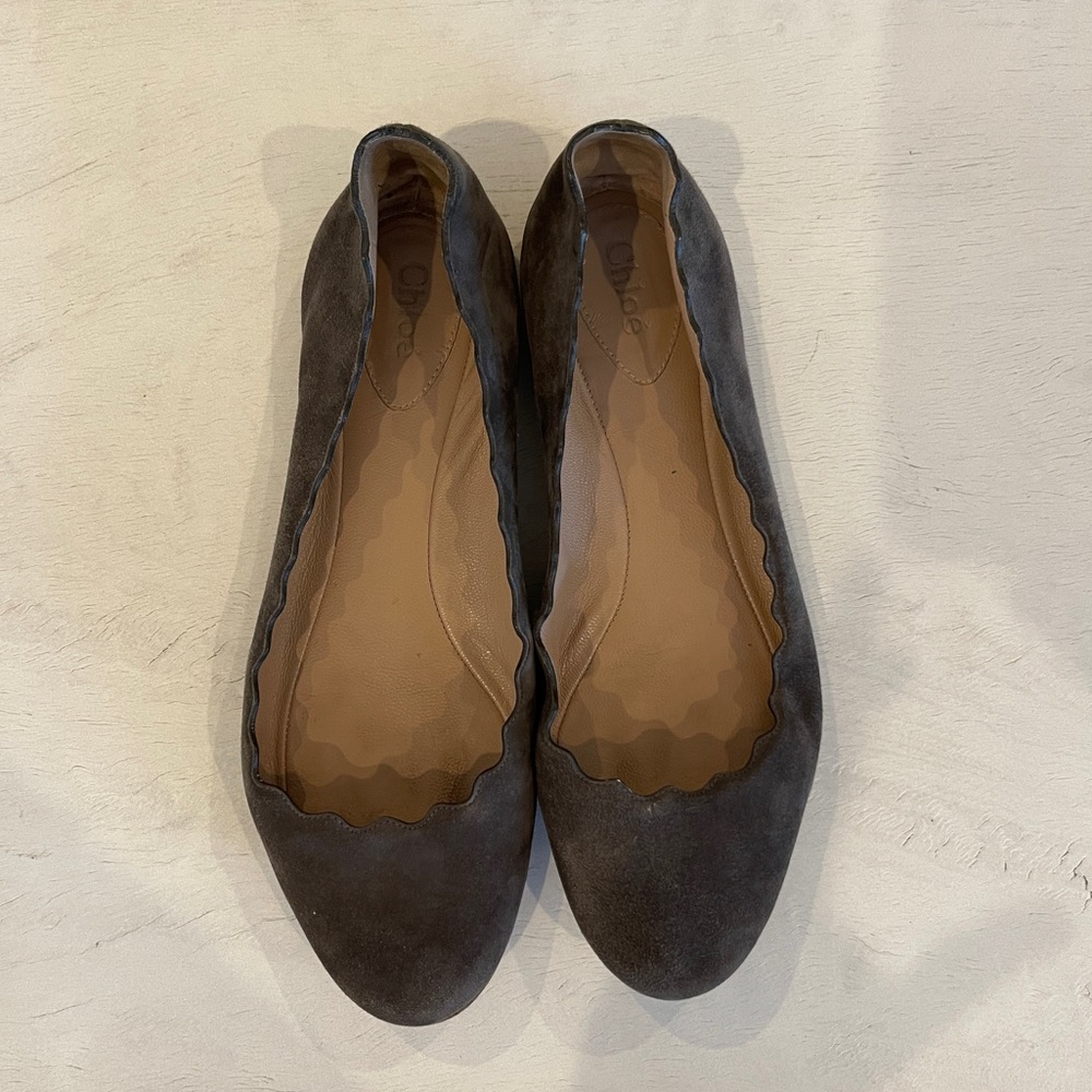 Gorgeous Chloe Grey Suede Scalloped Ballet Flat